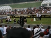 Stunt Bike Show '09